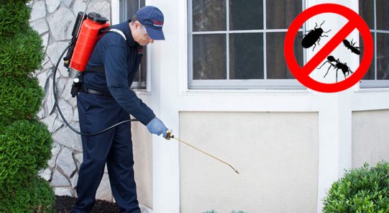 Ayvacık Karınca İlaçlama böcek ilaçlama ve haşere kontrolü — ilaclama-tr.com